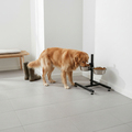 Foderstation justerbar - PetZone